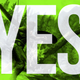 Image for article titled Should You Buy The Elder Scrolls V: Skyrim? Yes.